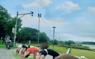 Thổi Bay Căng Thẳng, Kết Nối Với Thiên Nhiên: Trải Nghiệm Yoga Ngoài Trời Tại STbuilding